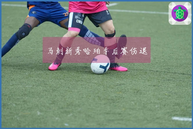 马刺新秀哈珀季后赛伤退